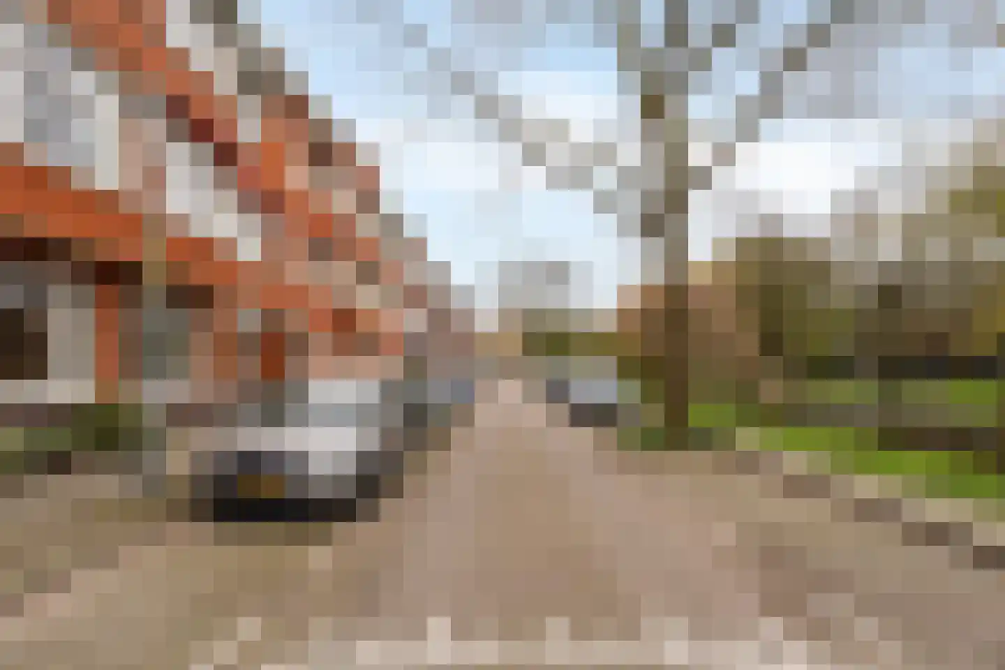 Statensingel 112 A Rotterdam thumbnail 27