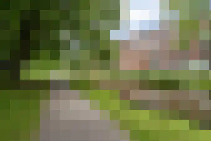 Statensingel 124 A Rotterdam thumbnail 34