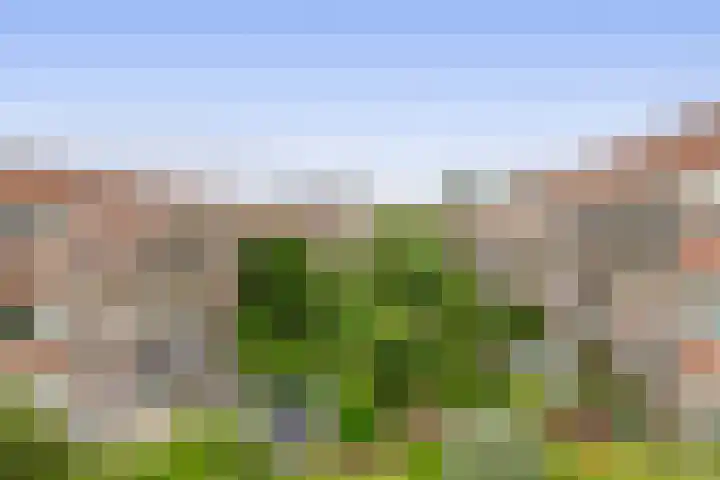 Statensingel 147 01R Rotterdam thumbnail 33