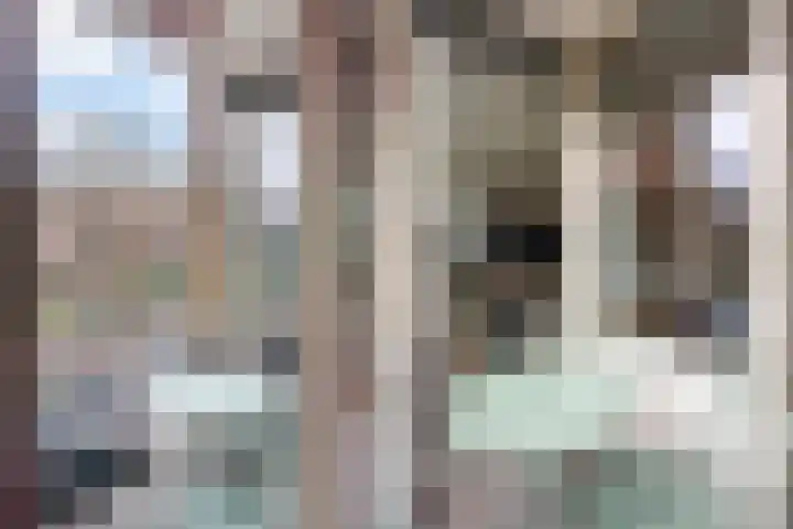 Statensingel 27 Gouda thumbnail 30