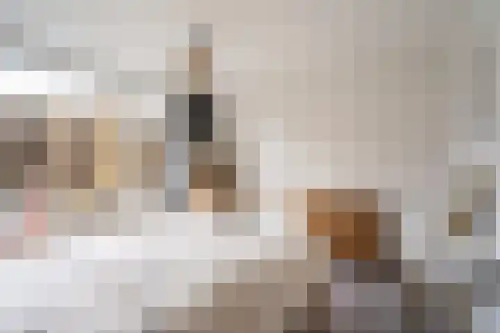 Statensingel 27 Gouda thumbnail 39