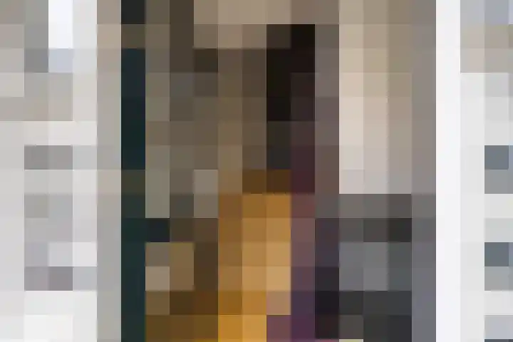 Statensingel 27 Gouda thumbnail 6