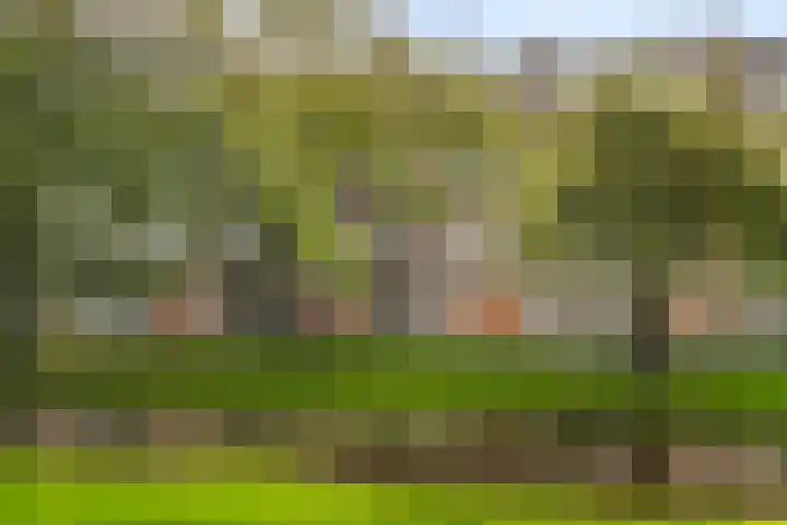 Statensingel 46 A Rotterdam thumbnail 4