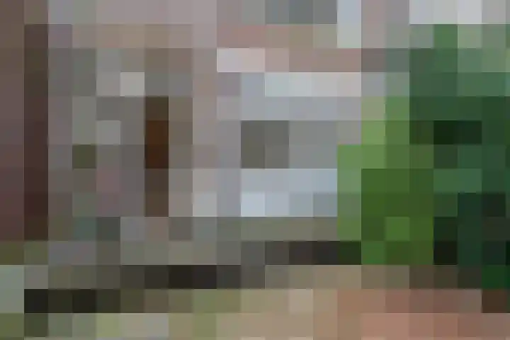 Statensingel 47 A 02 Rotterdam thumbnail 16