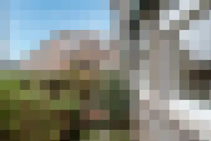 Statensingel 47 A 02 Rotterdam thumbnail 21