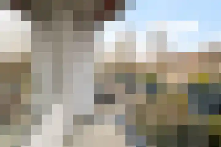 Statensingel 90 Gouda thumbnail 14