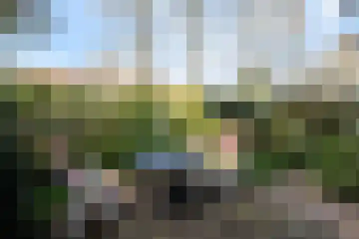 Statensingel 90 Gouda thumbnail 4