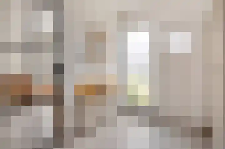 Statenstraat 31 Sas van Gent thumbnail 15