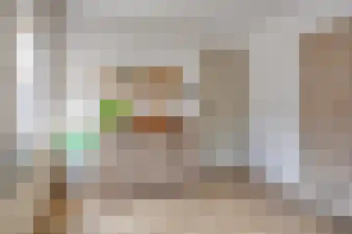 Statenstraat 31 Sas van Gent thumbnail 22