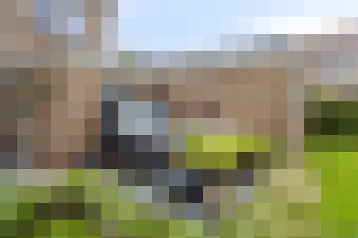 Statenstraat 31 Sas van Gent thumbnail 31