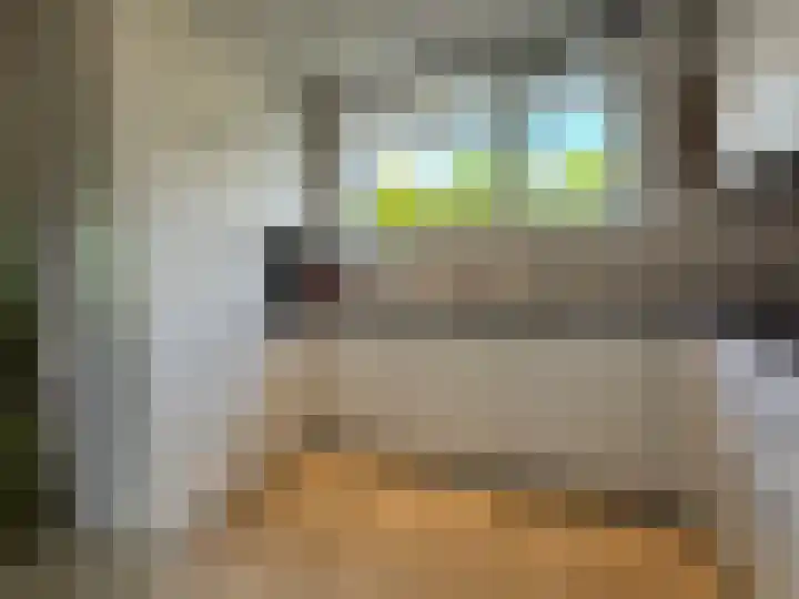 Statenstraat 36 Sas van Gent thumbnail 10