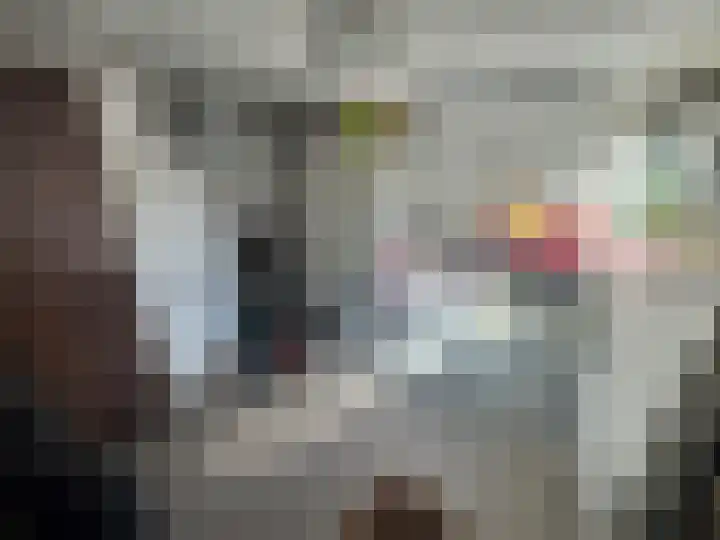 Statenstraat 36 Sas van Gent thumbnail 18