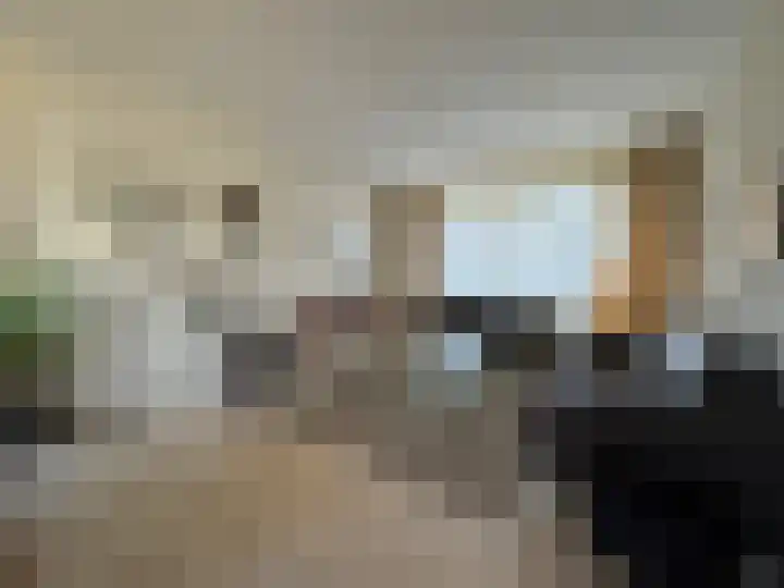 Statenstraat 36 Sas van Gent thumbnail 4