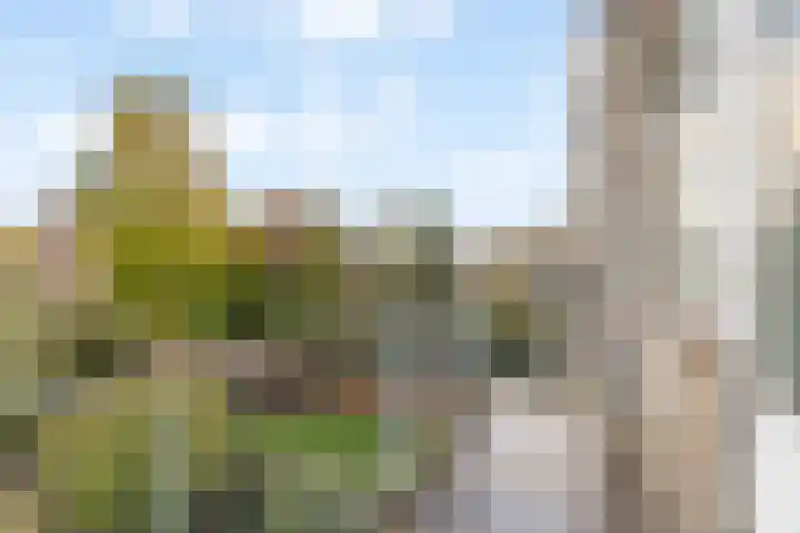 Statenweg 150 C Rotterdam thumbnail 12