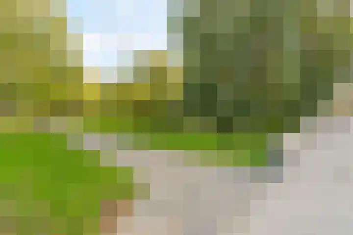 Statenweg 150 C Rotterdam thumbnail 31