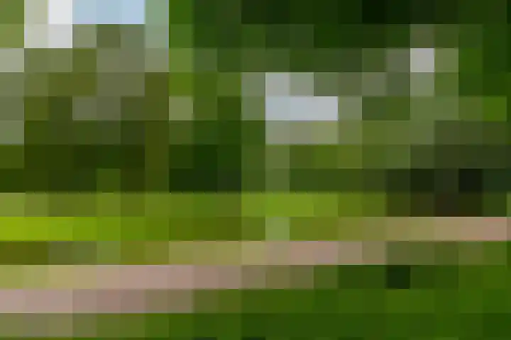 Statenweg 37 Rotterdam thumbnail 22