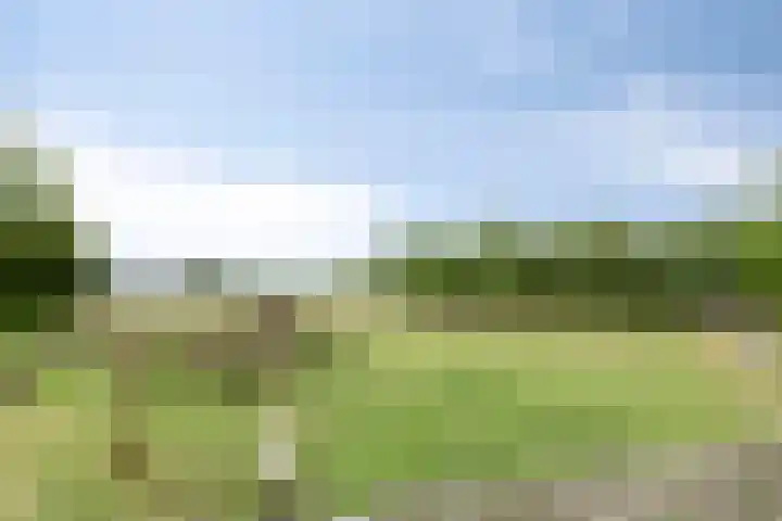 Statenweg 43 Venhorst thumbnail 31