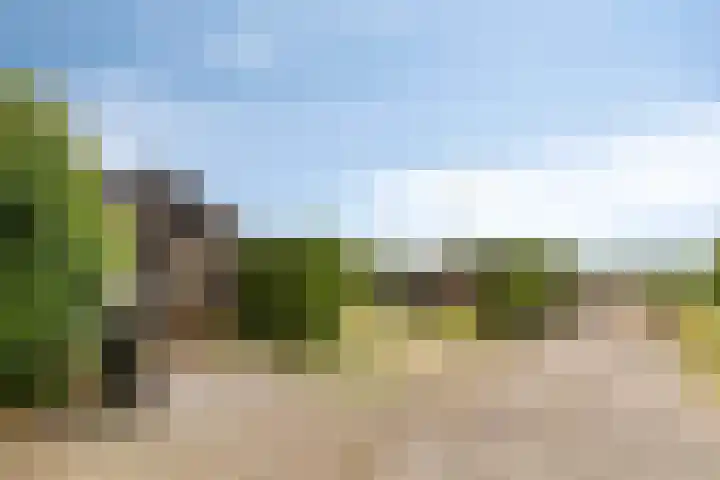 Statenweg 43 Venhorst thumbnail 34