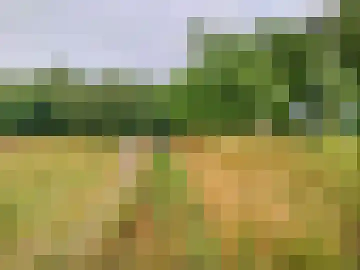 Statenweg 43 Venhorst thumbnail 40