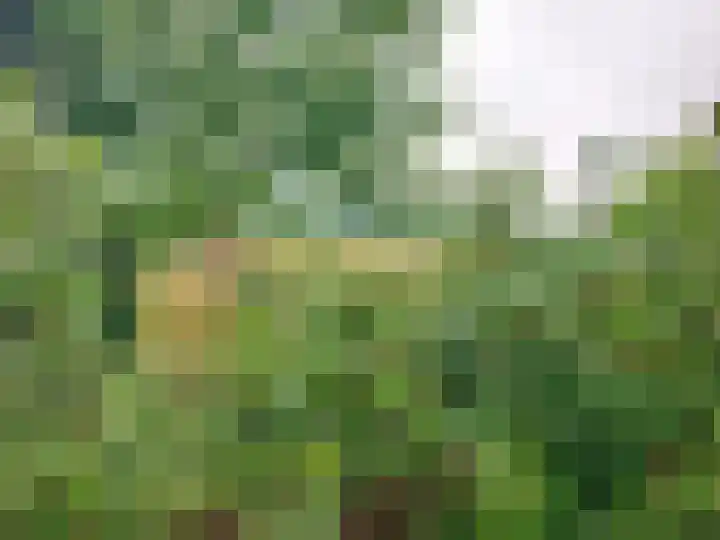 Statenweg 43 Venhorst thumbnail 41