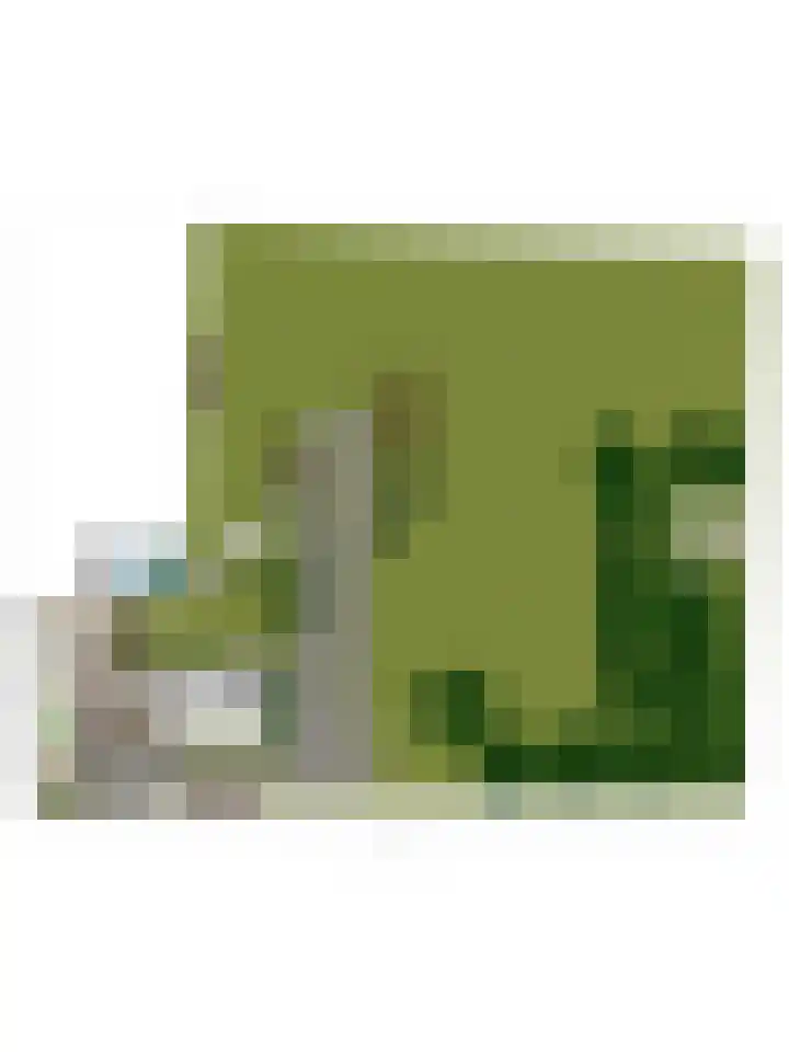 Statenweg 43 Venhorst thumbnail 46
