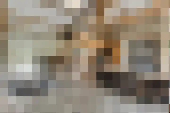 Statenweg 43 Venhorst thumbnail 6
