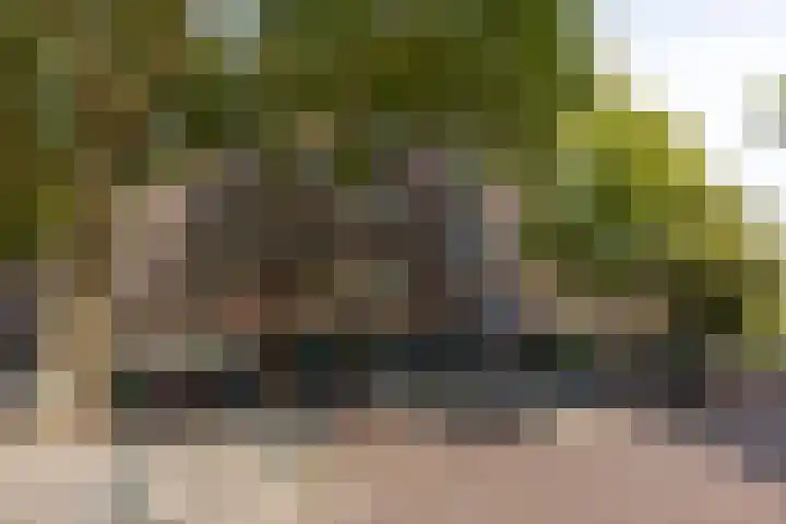 Statenweg 64 C Rotterdam thumbnail 35