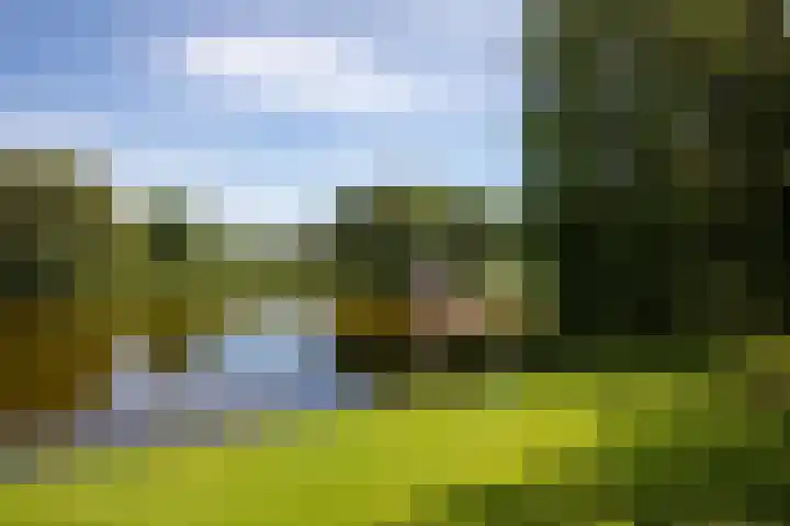 Statenweg 64 C Rotterdam thumbnail 38