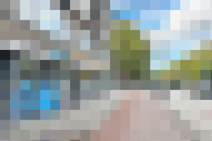 Statenweg 65 B Rotterdam thumbnail 35