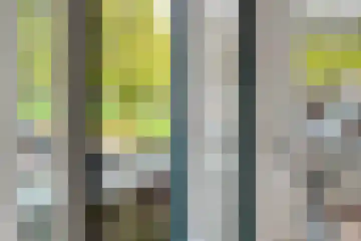 Statenweg 65 B Rotterdam thumbnail 9