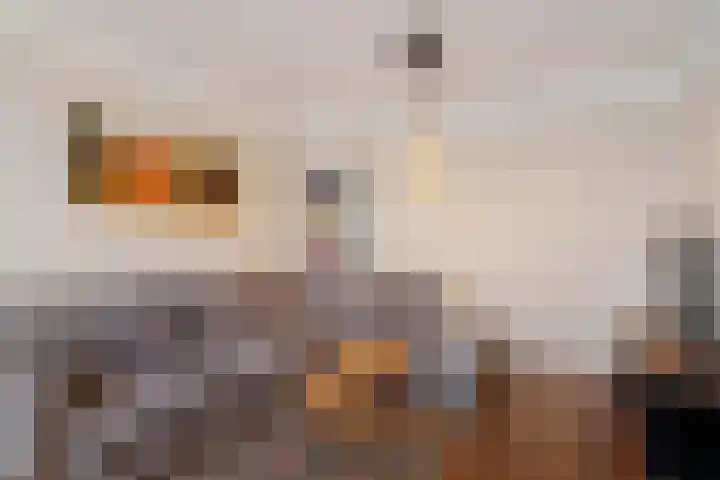 Statenweg 7 C Rotterdam thumbnail 4