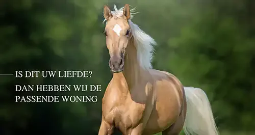 Kantoor foto van Statig Wonen Makelaars Amsterdam B.V.