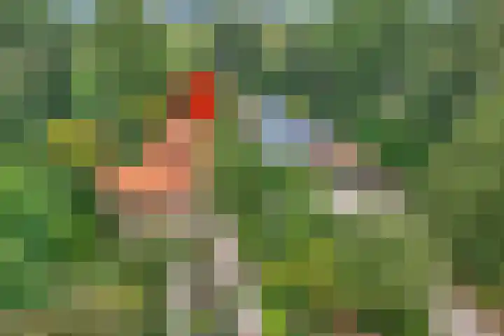 Stationserf 4 Houten thumbnail 38