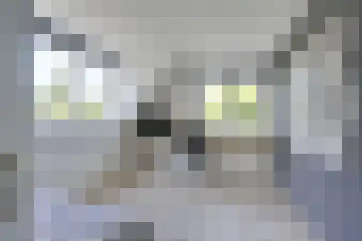 Stationserf 4 Houten thumbnail 46