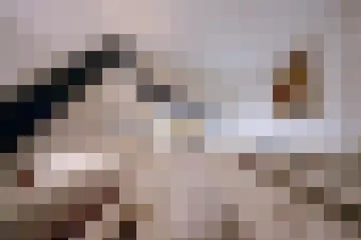 Stationserf 4 Houten thumbnail 50