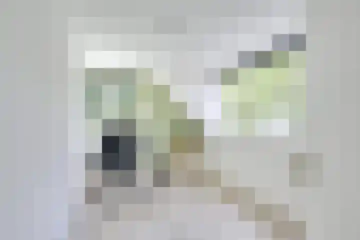 Stationserf 4 Houten thumbnail 54
