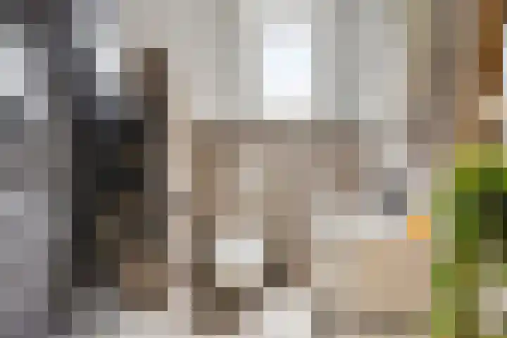 Stationslaan 14 Goor thumbnail 16