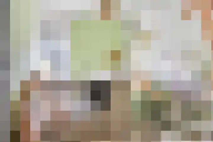 Stationslaan 14 Goor thumbnail 19
