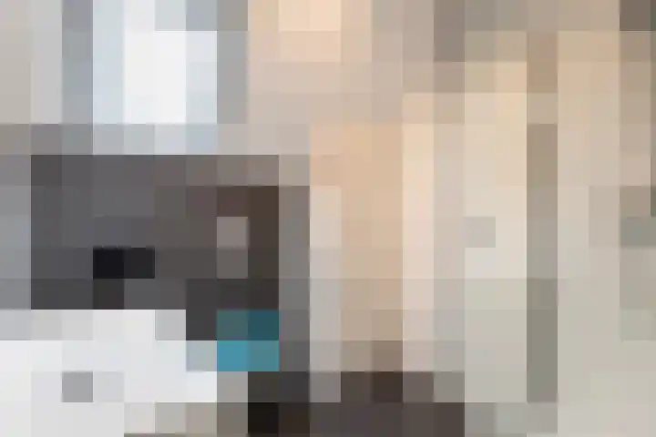 Stationslaan 18 Goor thumbnail 19