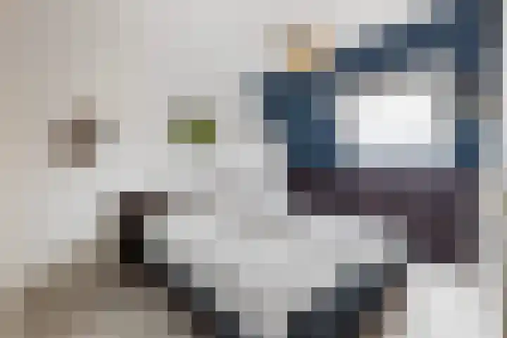 Stationslaan 18 Goor thumbnail 22