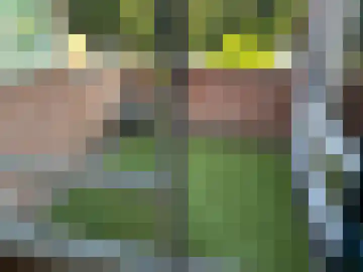 Stationslaan 18 Goor thumbnail 23