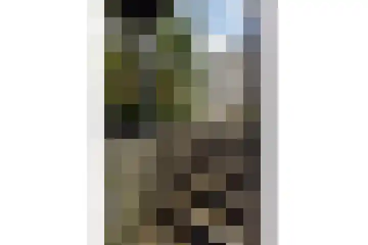 Stationslaan 18 Goor thumbnail 7