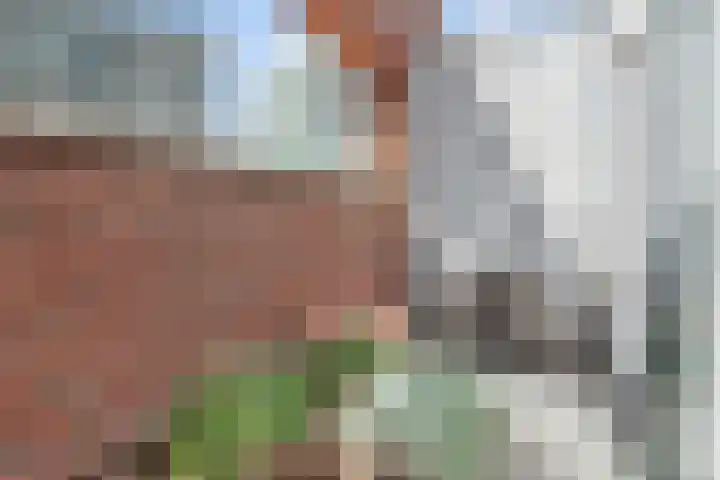 Stationslaan 5 C10 Breda thumbnail 10