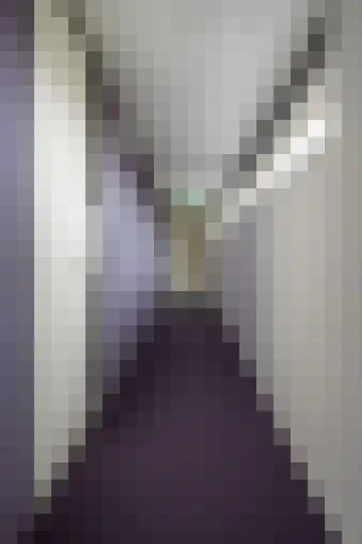 Stationslaan 5 C10 Breda thumbnail 33