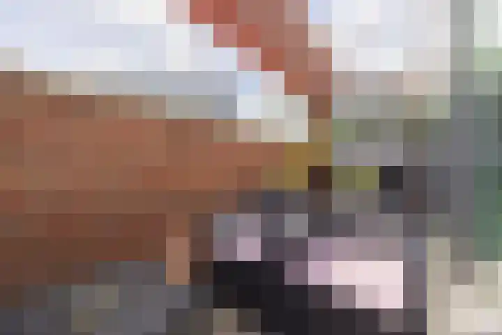 Stationslaan 5 C9 Breda thumbnail 11