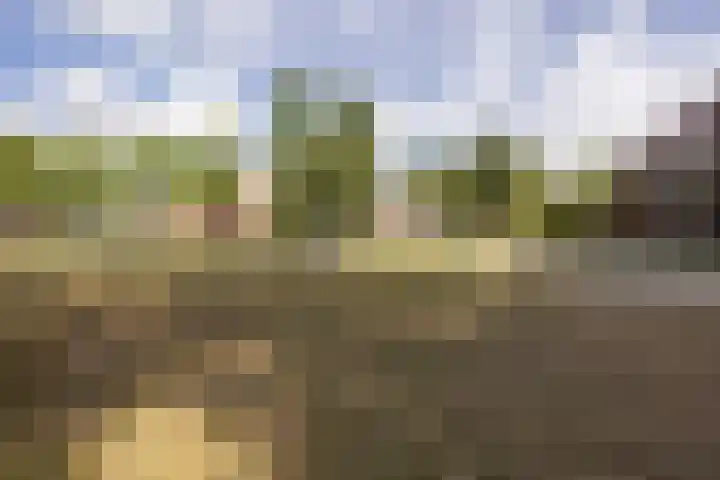 Stationslaan 5 C9 Breda thumbnail 37