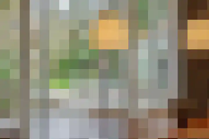 Stationslaan 7 Deurne thumbnail 20