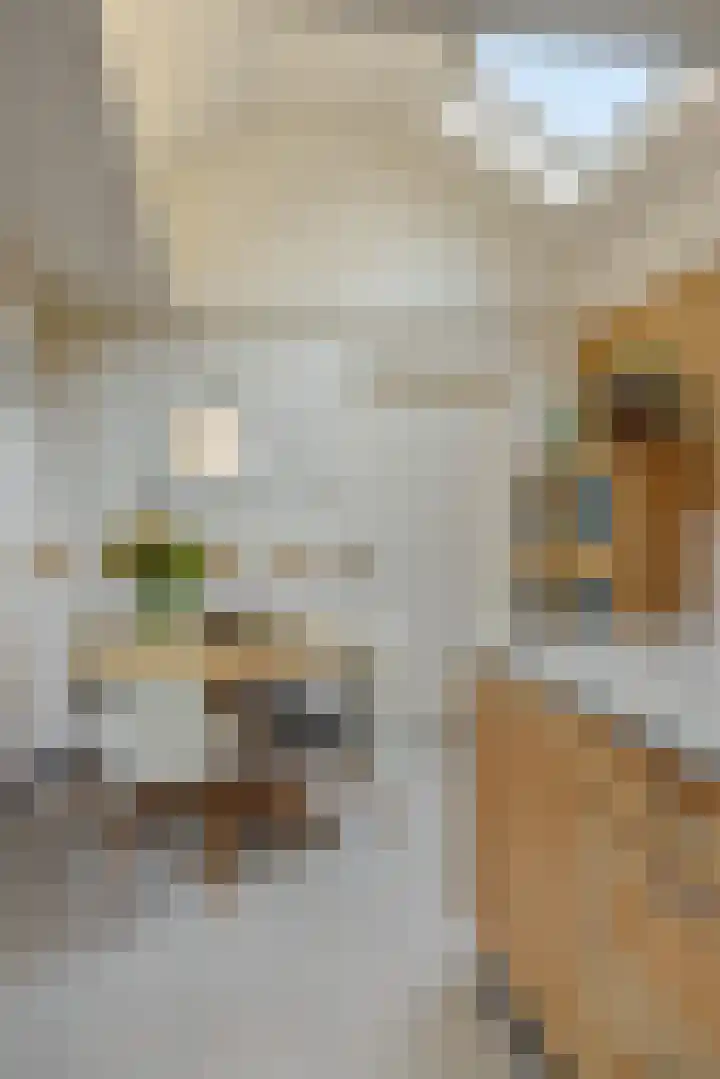 Stationslaan 7 Deurne thumbnail 24