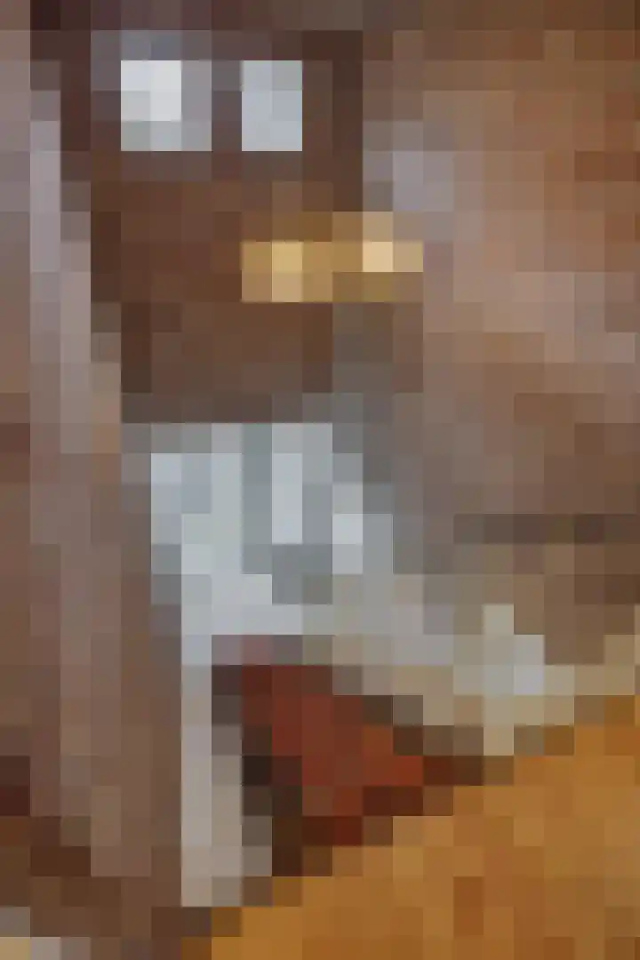 Stationslaan 7 Deurne thumbnail 32