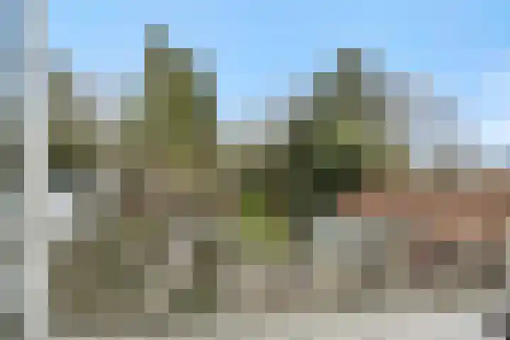Stationslaan 7 Deurne thumbnail 35